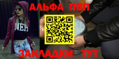 дмт Кингисепп
